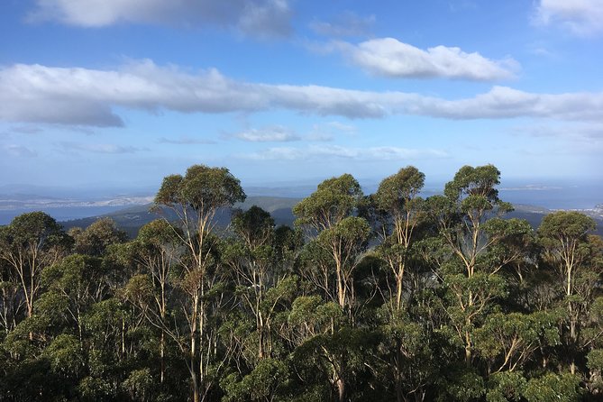 Kunanyi/Mt Wellington Explorer Bus - One Way Tour - End Point Information