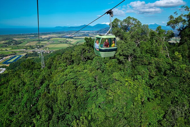 Kuranda Small Group Day Tour via Skyrail and Kuranda Scenic Rail - Pickup Information and Timing