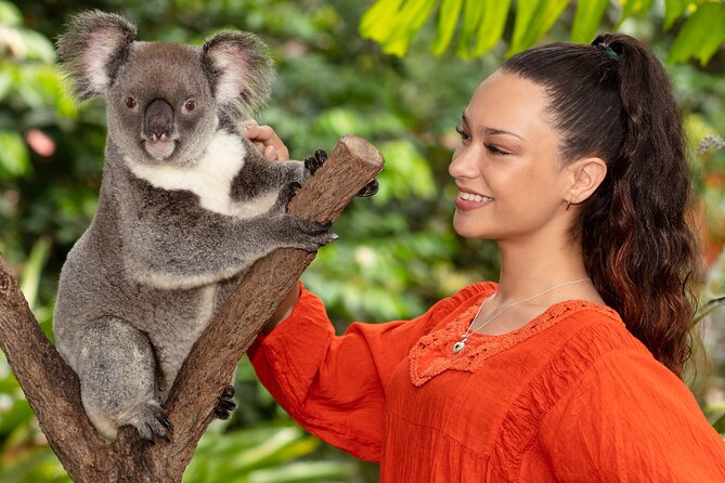 Kuranda Wildlife Experience Deluxe Multi Attraction Pass - Included Attractions