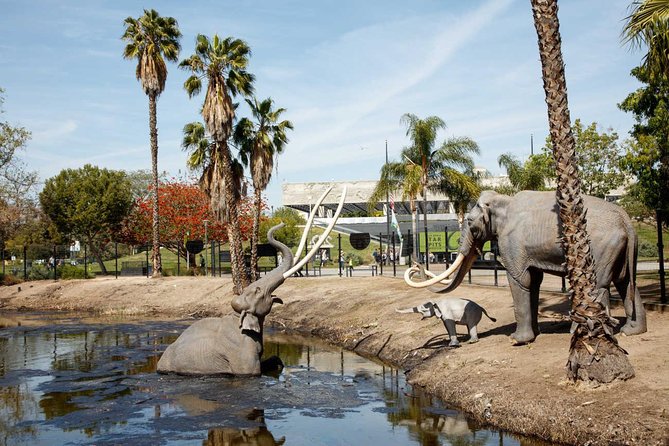 La Brea Tar Pits and Museum Admission Ticket With Excavator Tour - Understanding Cancellation Policies