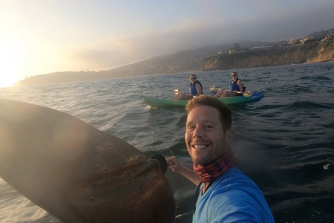 Laguna Beach Open Ocean Kayaking Tour With Sea Lion Sightings - Safety Measures
