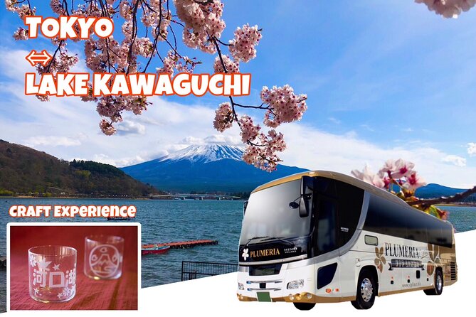Lake Kawaguchi From Tokyo Bus Ticket Oneway/Roundway - Cancellation Policy