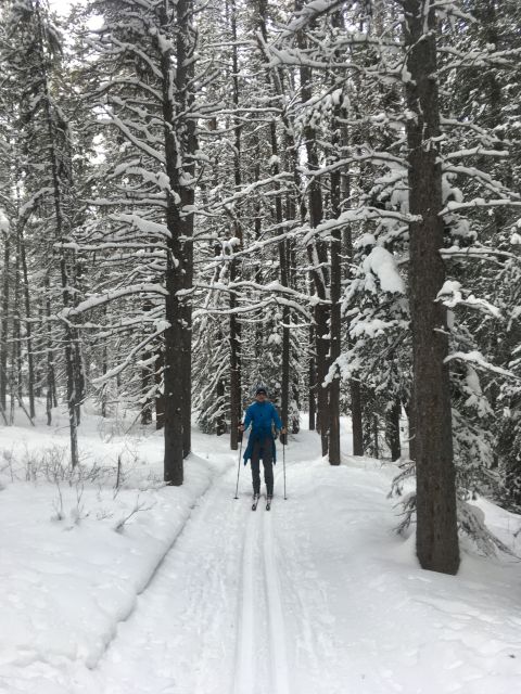 Lake Louise: Cross Country Skiing Lesson With Tour - Full Description