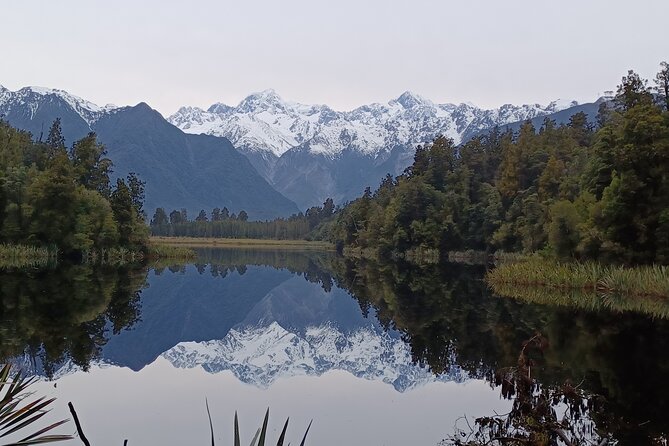 Lake Matheson Nature Tour - Tour Highlights