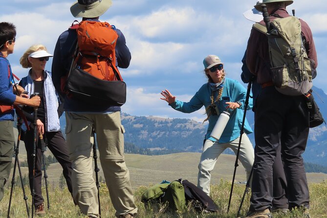 Lamar Valley Safari Hiking Tour With Lunch - Whats Included and Additional Information