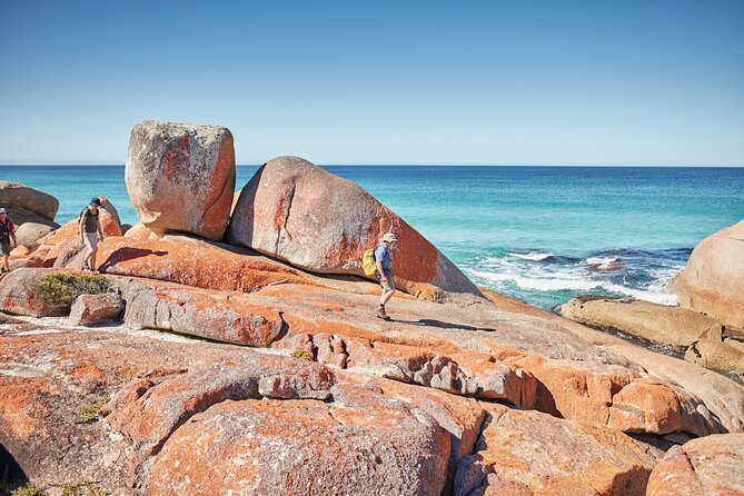 Larapuna / Bay of Fires Hiking Tour - 4 Days - Accommodation Details