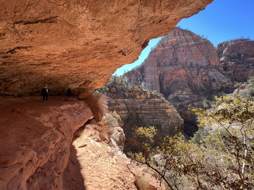 Las Vegas: VIP Guided Photography & Hiking Tour of Zion NP - Experience Highlights
