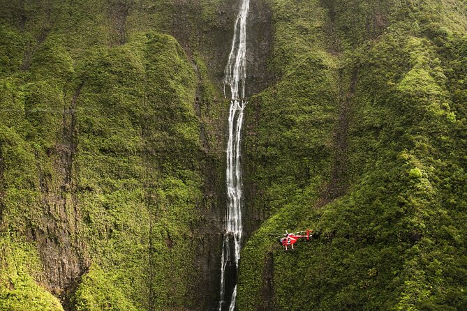 Lihue 4-Guest Open-Door Helicopter Ride  - Kauai - Booking and Logistics