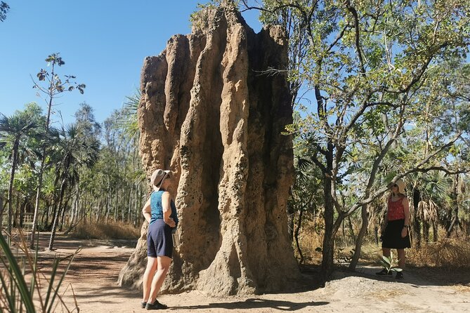 Litchfield National Park Tour & Berry Springs, Max 10 Guests, - Itinerary Overview