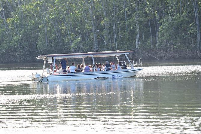 Luxury Daintree - Cape Tribulation Tour From Port Douglas - Inclusions and Exclusions