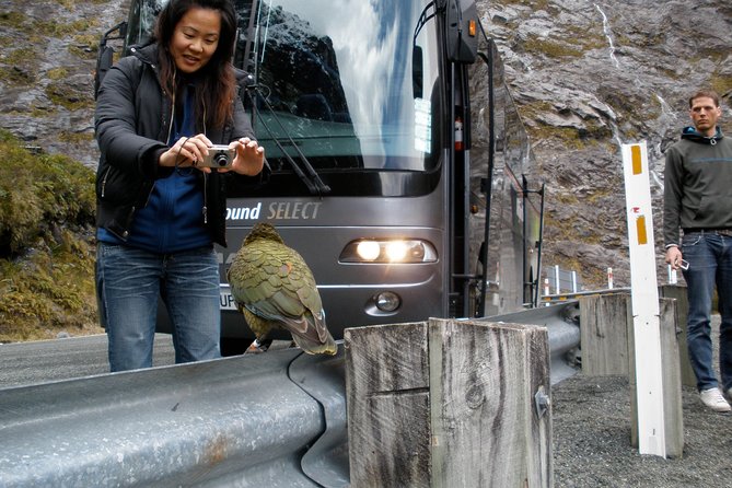Luxury Milford Sound Coach and Scenic Cruise - Cancellation and Refund Policy