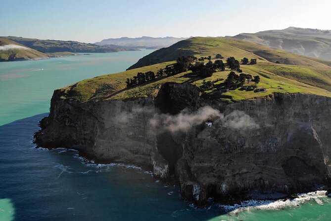 Lyttelton Shore Excursion - Guided Walking Tour and Picnic - Tour Highlights