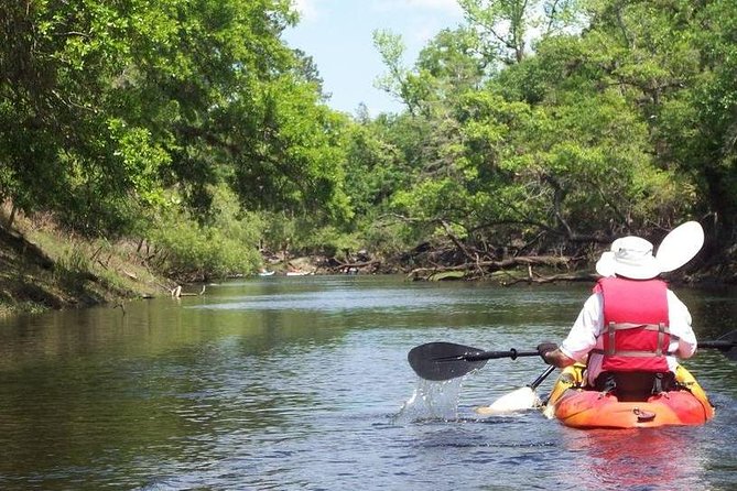 Manatee and Dolphin Kayaking Encounter - Essential Gear and Accessibility Information