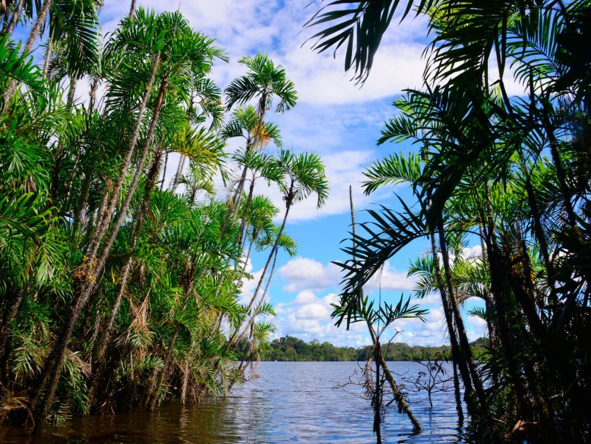 Manaus: Guided Amazon Dolphins Day Trip With Boat and Pickup - Experience Highlights