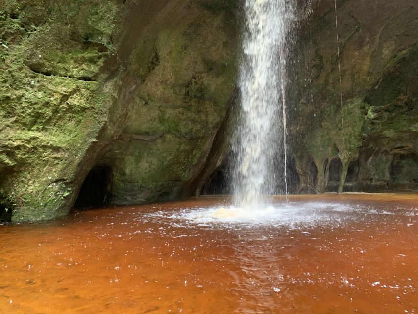Manaus: Presidente Figueiredo Caves and Waterfalls Tour - Tour Experience Description