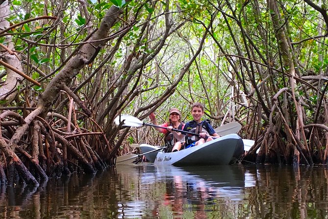 Mangrove Tunnels, Manatee, and Dolphin Sunset Kayak Tour With Fin Expeditions - Inclusions and Logistics