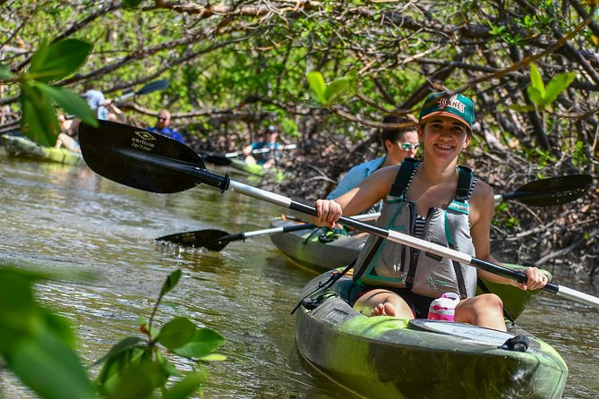 Mangrove Tunnels & Mudflats Kayak Tour - Local Biologist Guides - Logistics Details