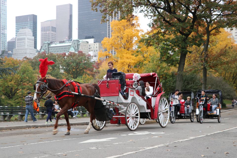 Manhattan: VIP Private Horse Carriage Ride in Central Park - Experience Highlights