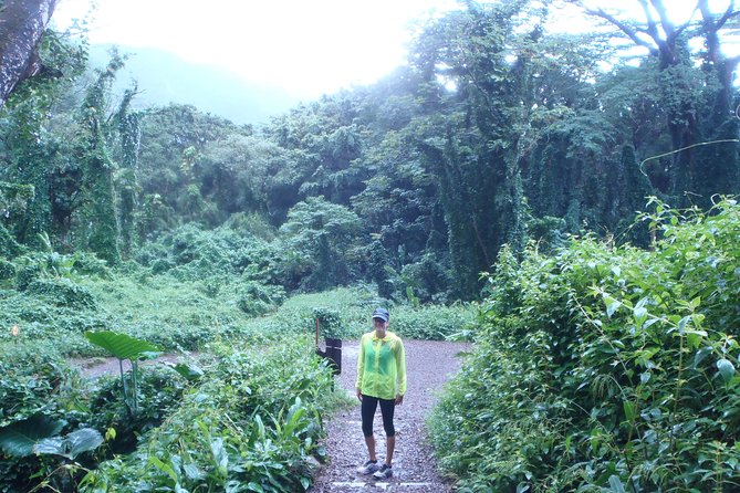 Manoa Waterfalls Hike With Local Guide - Traveler Insights