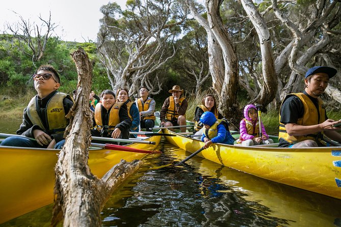 Margaret River Canoe Tour Including Lunch - Paddling Experience