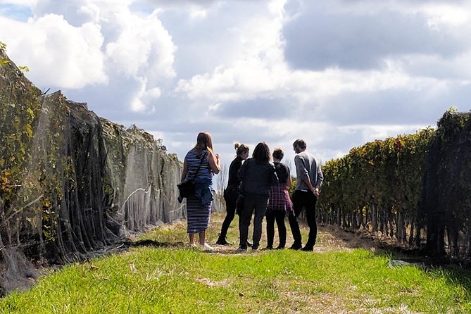 Margaret River Small-Group Full-Day Wine & Food Tour - Tour Highlights and Guides