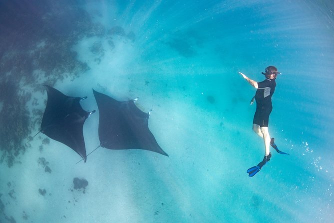 Marine Eco Safari - Swim With Manta Rays - Booking Information