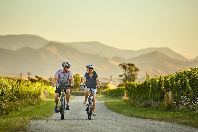 Marlborough Wine Region Bike Tour From Blenheim or Renwick - Important Information