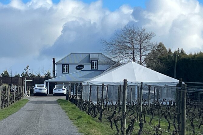 Martinborough High Tea and Wine Tour in Tesla SUVs - Tesla SUV Experience