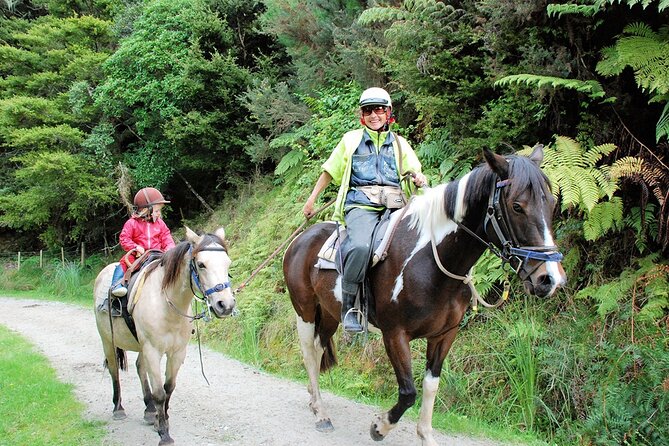 Matakana Art & Horse Riding Experience Private Tour From Auckland - Rider Requirements
