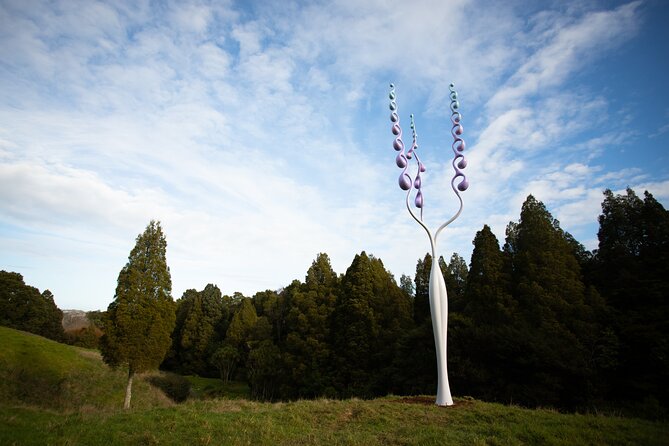 Matakana Art & Vineyard Experience Incl. Lunch & Wine Tasting Tour From Auckland - Itinerary Highlights