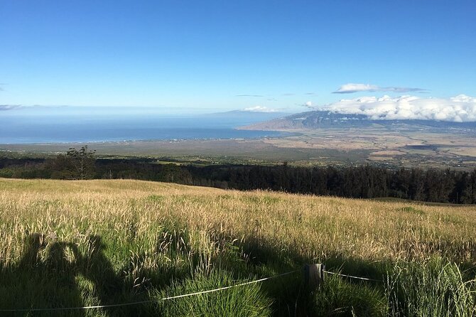 Maui Haleakala Sunrise Downhill Bike Tour With Mountain Riders Rated #1 - Customer Reviews and Highlights