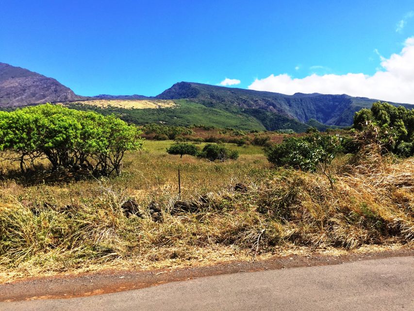 Maui: Private Customizable Road to Hana Tour With Transfer - Tour Description