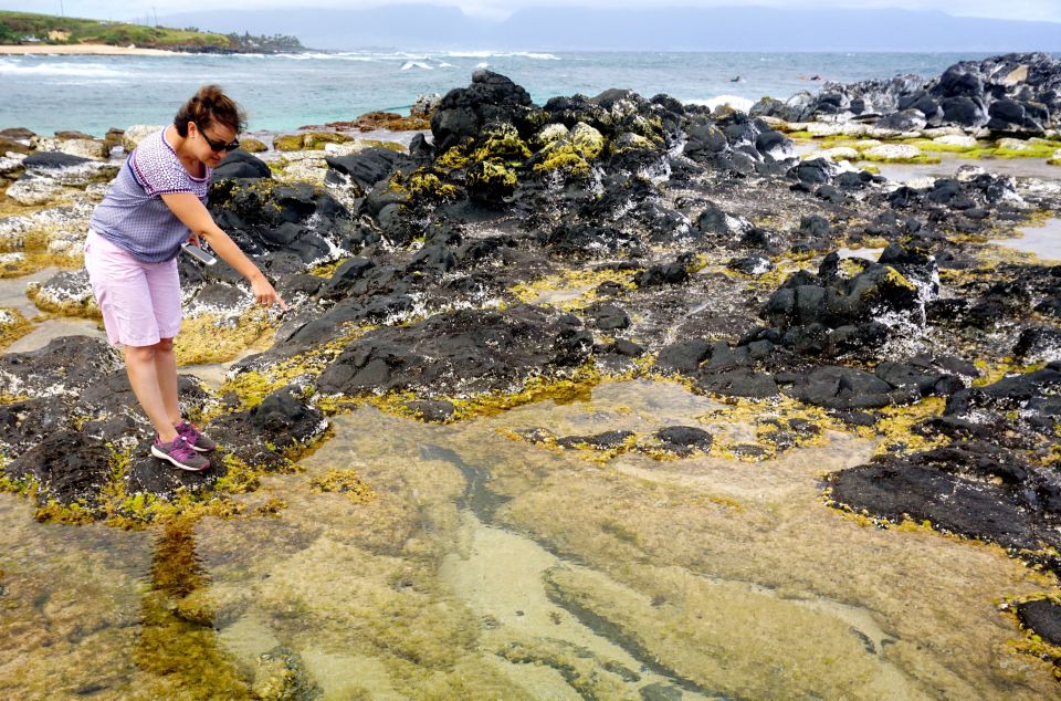 Maui: Private Guided Halfway to Hana Tour - Experience Highlights