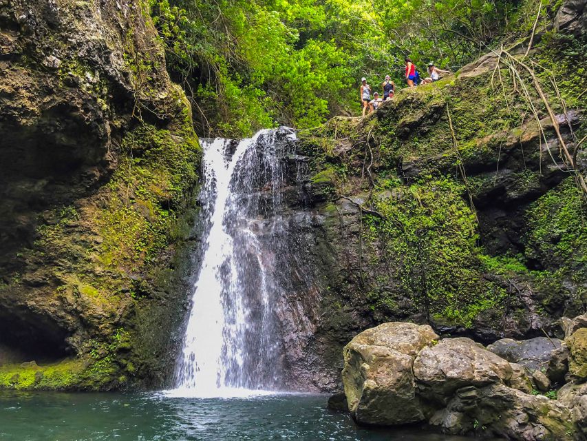 Maui: Private Jungle and Waterfalls Hiking Adventure - Experience Highlights