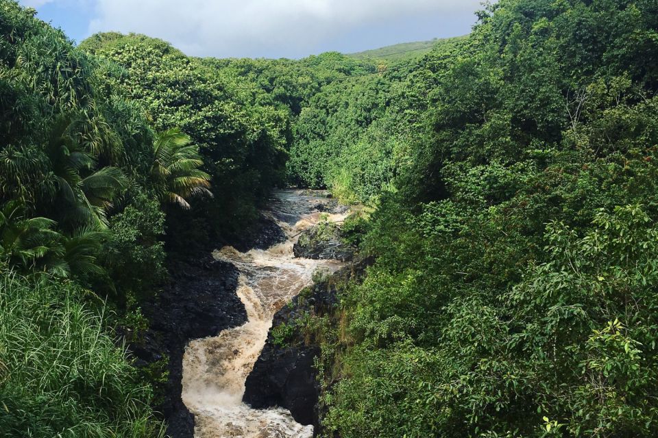 Maui Road to Hana Sightseeing Tour - Experience Highlights
