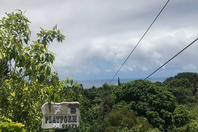 Maui Zipline Eco Tour - 8 Lines Through the Jungle - Booking Requirements and Policies