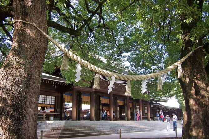 Meiji Jingu Shrine, Shibuya Crossing by a Local Guide Tip-Based - Shinto Traditions and Customs Unveiled