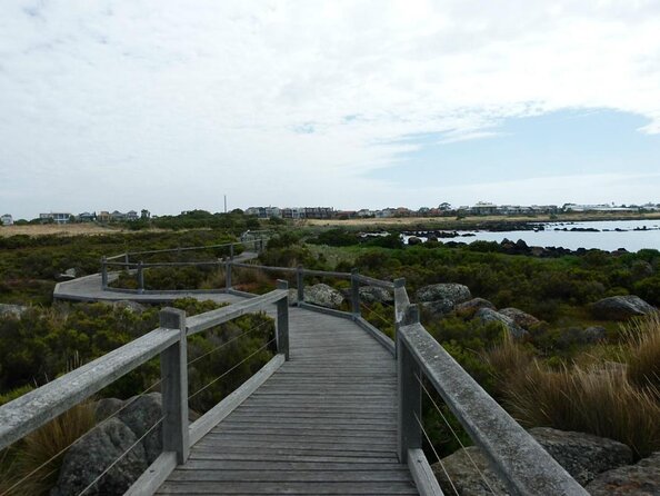 Melbourne City and Williamstown Ferry Cruise - Inclusions and Services Provided