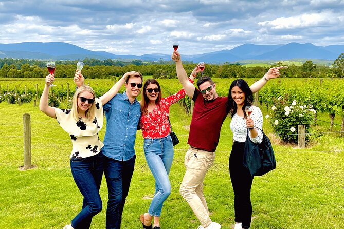Melbourne: Premium Yarra Valley Wines, Chandon & 2-Course Lunch - Wine Tasting Experiences