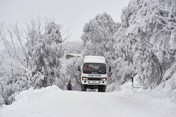 Melbourne to Mt Buller Day Trip - What To Expect on the Day Trip