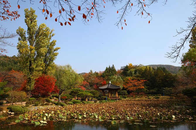 Memorable Autumn Foliage Random Tour (From Busan) - Transportation Details