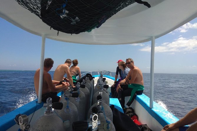 Menjangan Island Snorkeling Full Day Boat Trip - Boat Ride From Pemuteran
