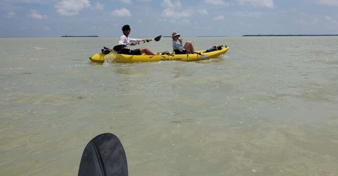 Miami: Everglades National Park Hiking and Kayaking Day Trip - Experience Highlights