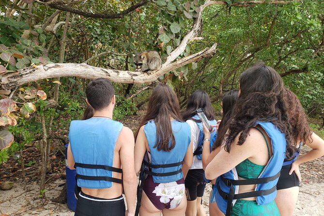 Miami: Kayak or SUP Island and Wildlife Tour - Wildlife Encounters