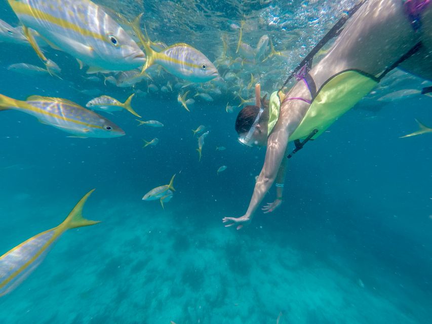 Miami: Key West Tour With Snorkeling & Kayaking - Booking Details