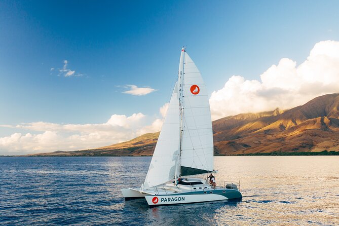 Midday Sail With the Whales Maalaea - Traveler Feedback