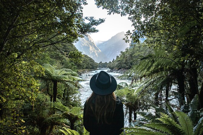 Milford Track Day Walk - Milford Sound - Experience Highlights