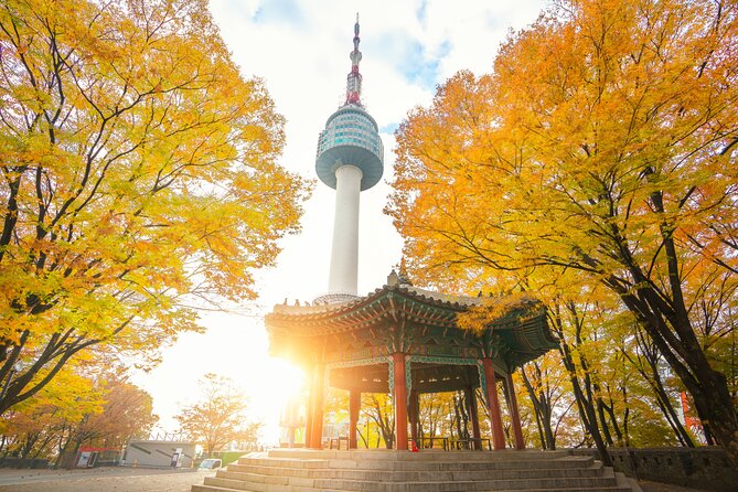 Mini Van Private Guided Tour in Seoul (Optional Layover) - Tour Guides Expertise
