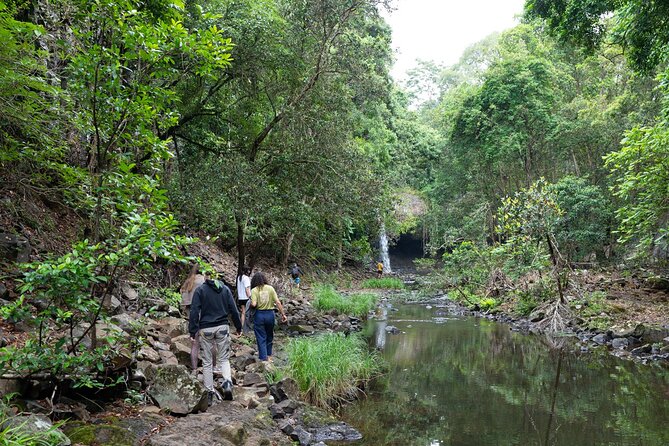 Minyon Falls: Explore the Rainforest - Copyright and Ownership Details