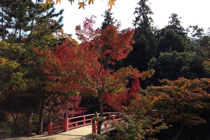 Miyajima Full Day Tour - Whats Included